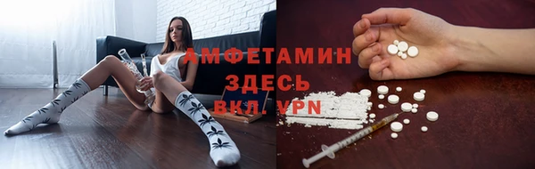 хмурый Алексеевка