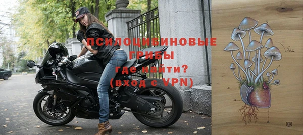 хмурый Алексеевка